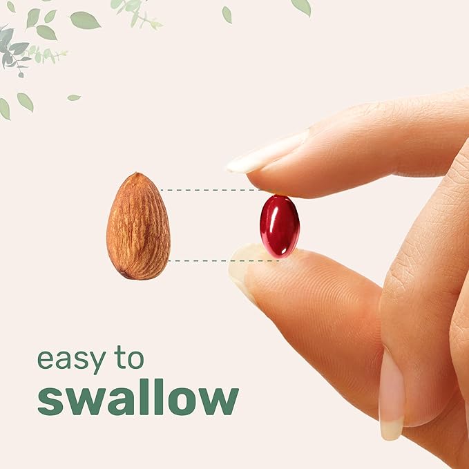 Micro Ingredients - CoQ100 - 240 cápsulas