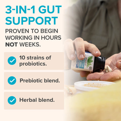 Digestive Enzymes + Probiotics – Zenwise (45 cápsulas)