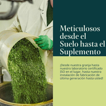 Ashwagandha Root – Gaia Herbs