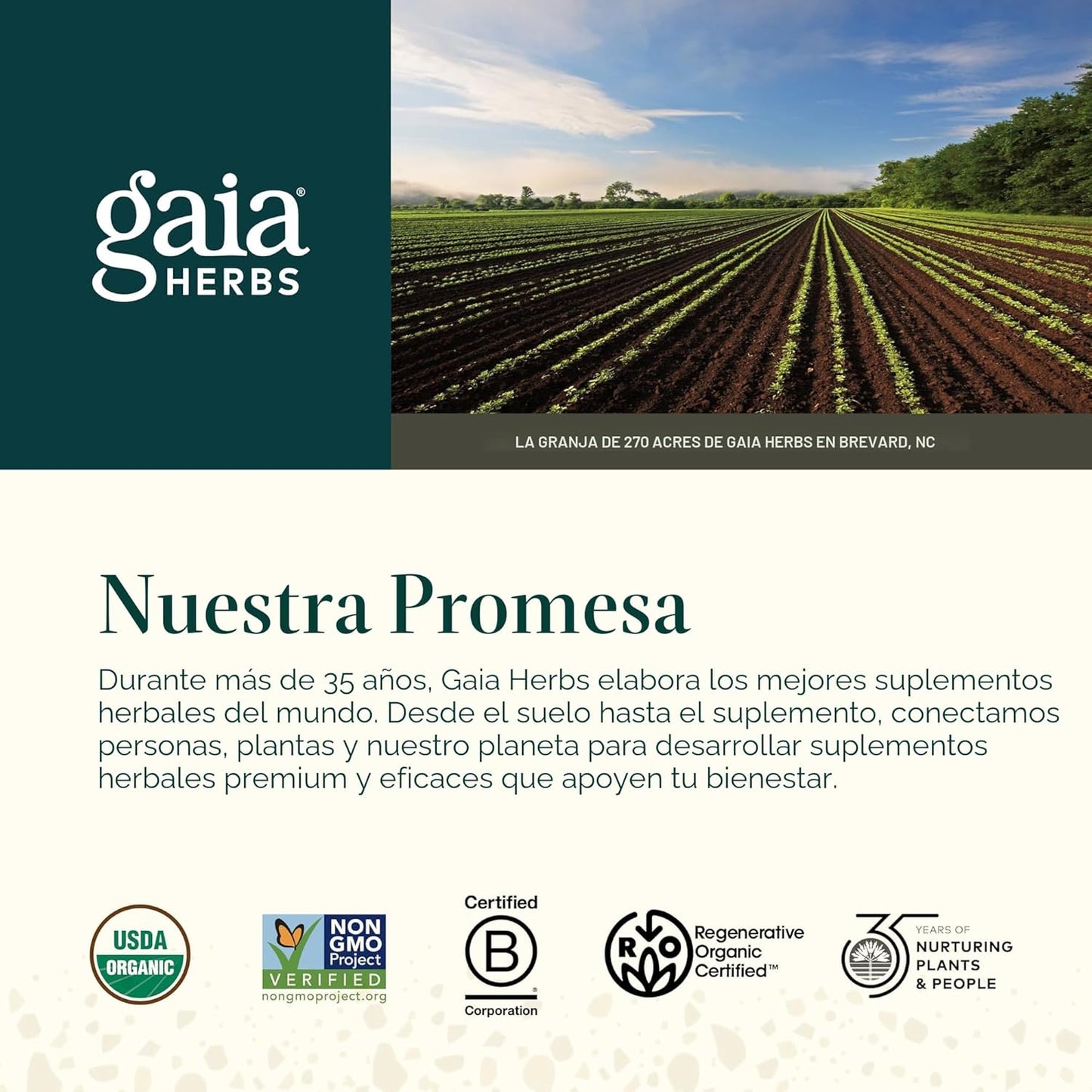 Ashwagandha Root – Gaia Herbs